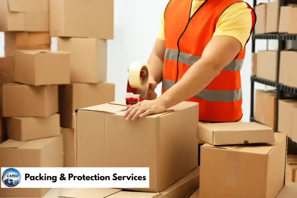Packing & Protection Services