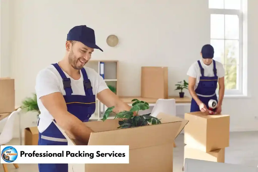 Professional Packing Services