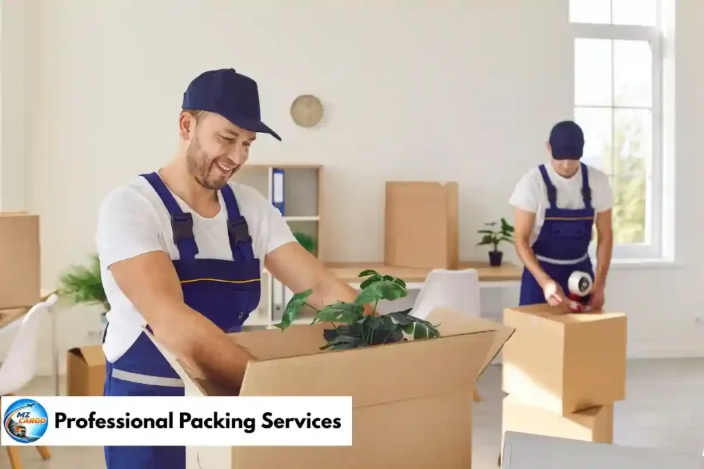 Professional Packing Services