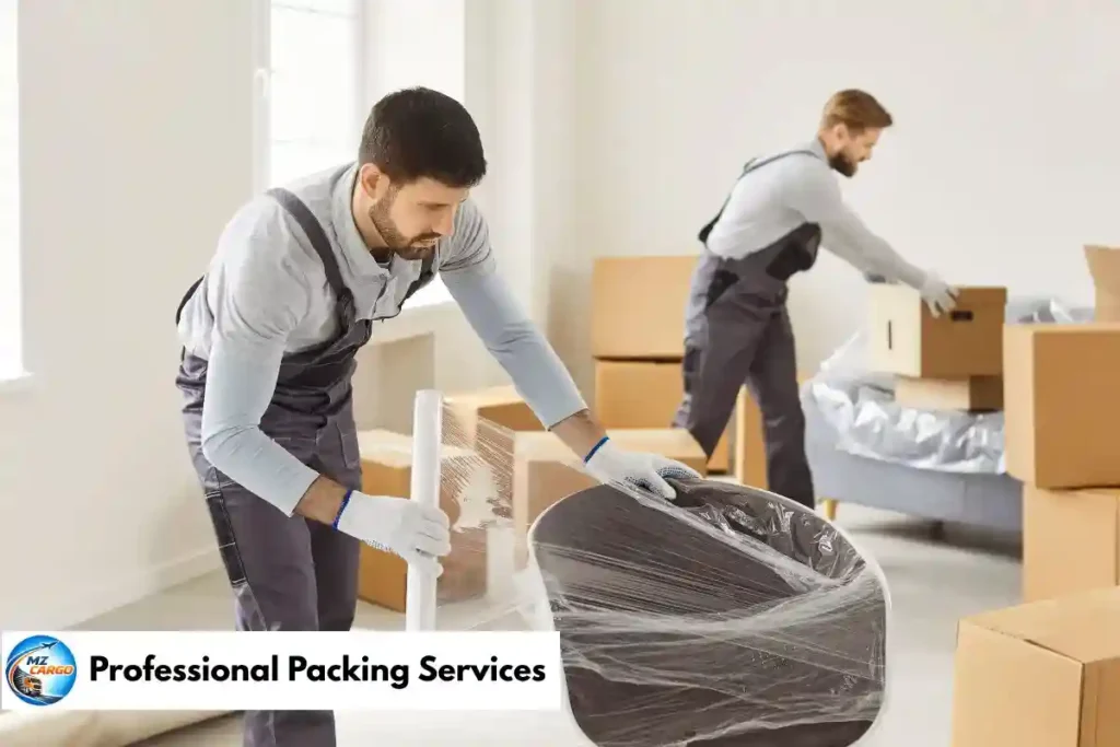 Professional Packing Services