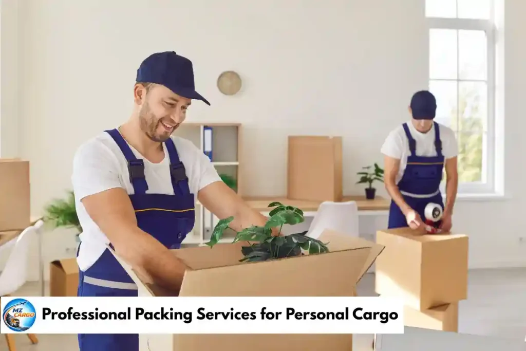 Professional Packing Services for Personal Cargo