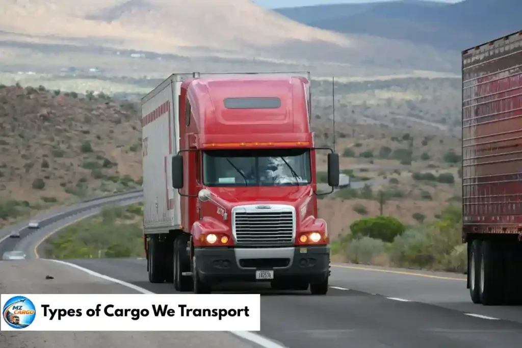 Types of Cargo We Transport